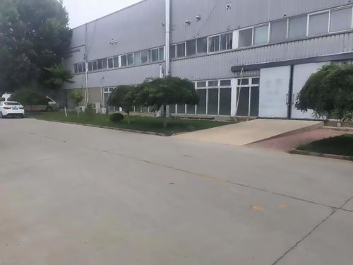 推推99 塑造房地產(chǎn)精英的理想平臺