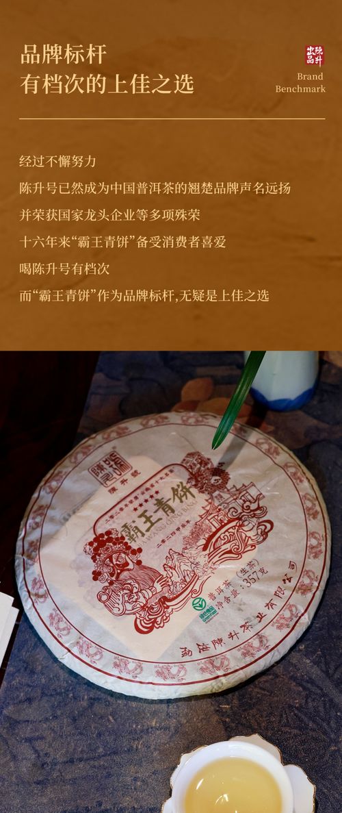 茶中霸王 其質(zhì)如名 陳升號(hào)2024年 霸王青餅 面市 茶友網(wǎng)