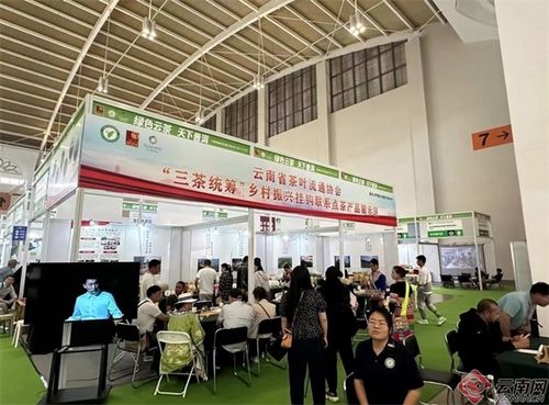 普洱茶博覽會 云南省茶葉流通協會 三茶統籌 鄉村振興掛鉤聯系點茶產品亮相