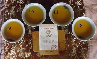 一茶一世界，一飲一傾心 潤元昌歲月金韻茶樣試喝體驗