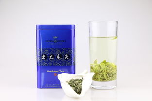 CCTV國(guó)家品牌計(jì)劃扶貧推薦產(chǎn)品 品味古丈毛尖，助力湘西振興——探訪古陽(yáng)河75g精品古丈毛尖