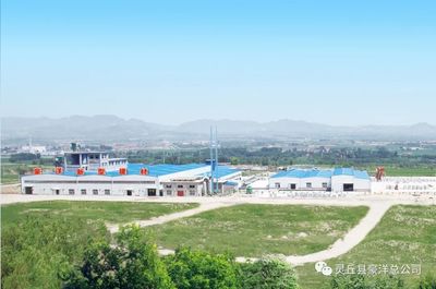 豪洋新型建材科技開發榮獲山西省五一勞動獎