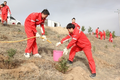 長(zhǎng)慶油田采油七廠 企地共建“同心林”，科技賦能綠色發(fā)展